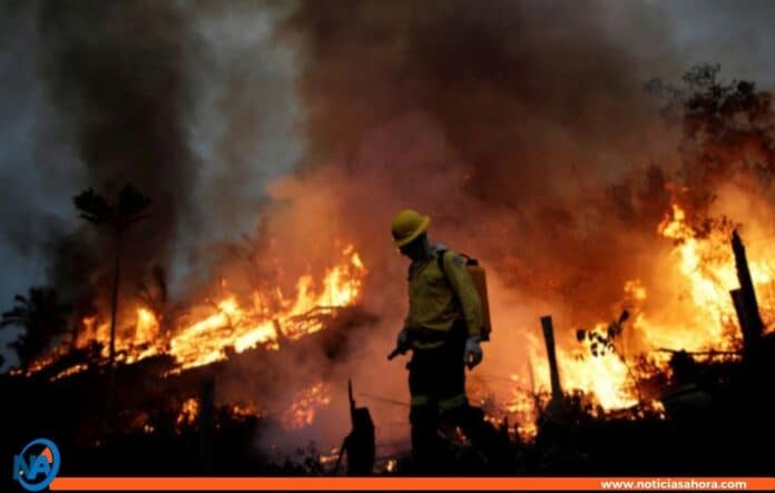 Incendios forestales en Brasil