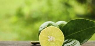 beneficios del limón para la salud