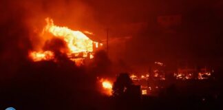 Chile: Declaran Estado de Excepción por catástrofe por incendios forestales