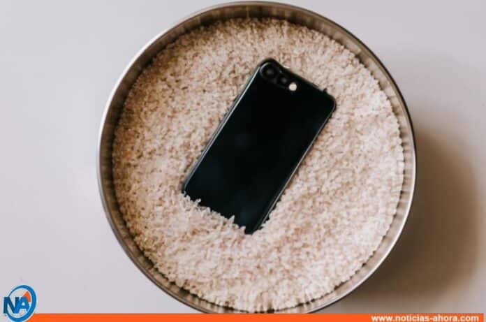 ¡Alerta iPhone mojado! Apple desaconseja el uso de arroz para secarlo