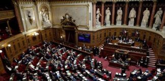 Senado francés aprueba inclusión del derecho al aborto en la Constitución