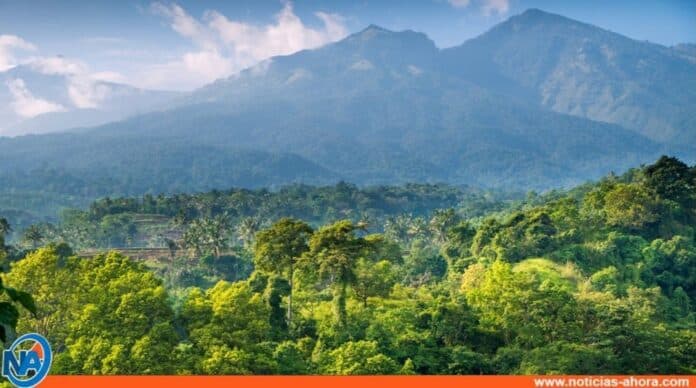 Explorando la fascinante cultura de la tribu Mante en Indonesia: un viaje etnográfico único