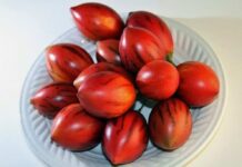 Beneficios del jugo de tomate de árbol