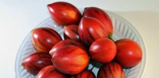 Beneficios del jugo de tomate de árbol