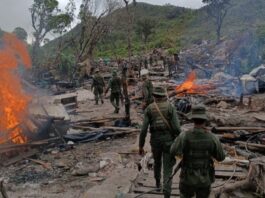 FANB minería ilegal Amazonas