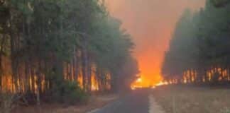 Incendio forestal Bosque Uverito