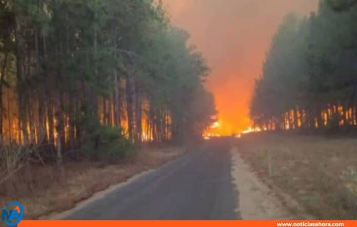 Incendio forestal Bosque Uverito