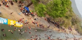 Piscina natural más larga de Venezuela
