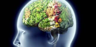 alimentos cerebro necesita
