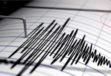 reportan sismo en portuguesa