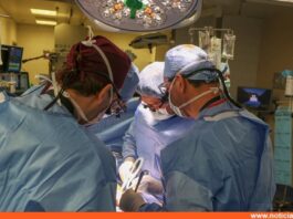 Realizan primer trasplante de un riñón de cerdo a un paciente vivo