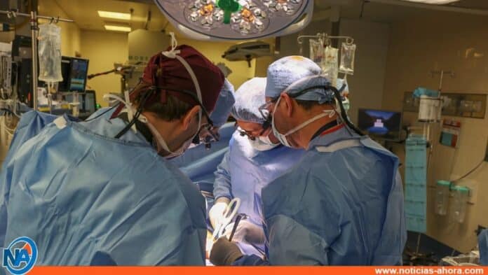 Realizan primer trasplante de un riñón de cerdo a un paciente vivo