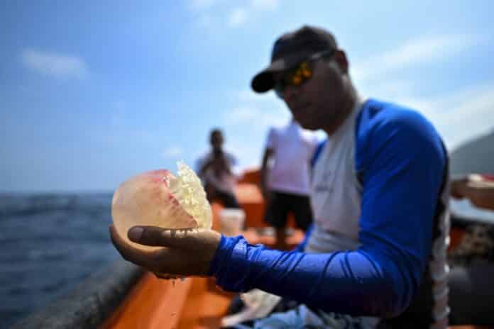 Anzoátegui pescadores paralizan actividades