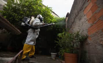 Argentina caso mortal dengue