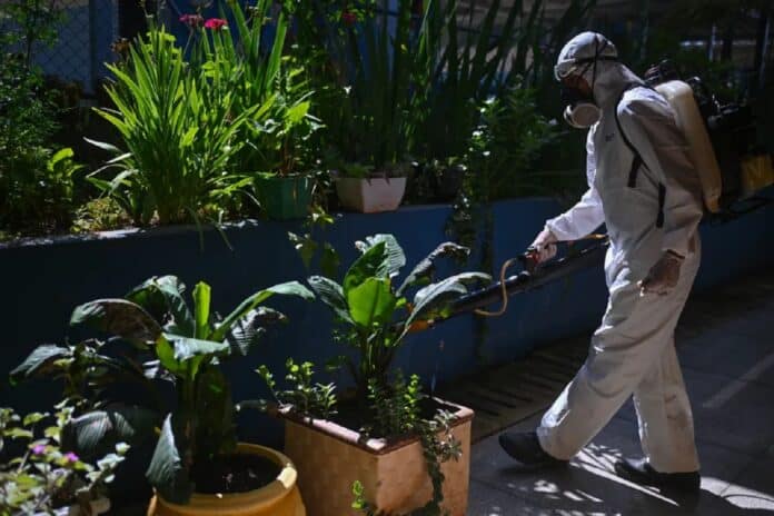 Brasil tres millones contagios de dengue 