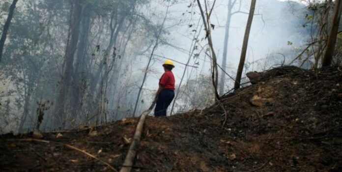 Incendios forestales en Venezuela plan desestabilizador