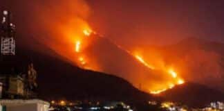 Incendios forestales en Venezuela