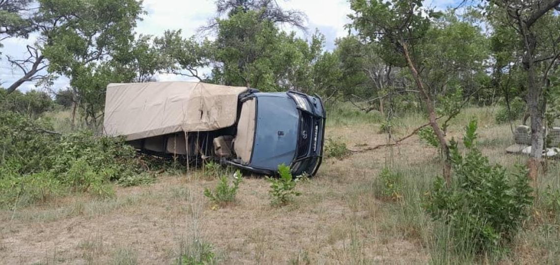 Turista estadounidense muere por ataque de un elefante durante un safari