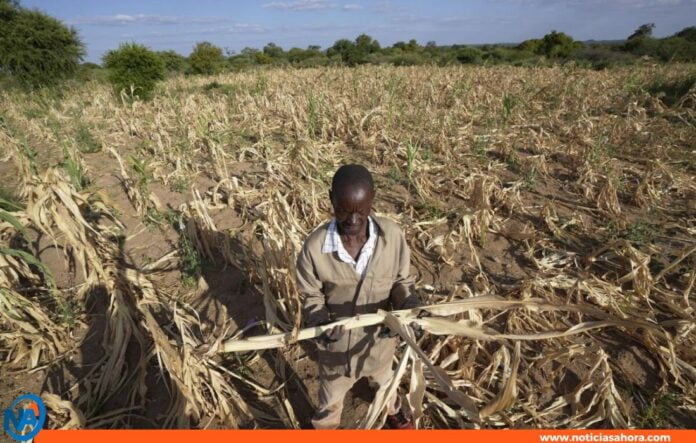 Zimbabue estado desastre sequía