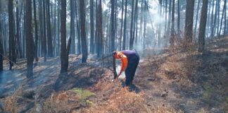 controlan incendios forestales Carabobo