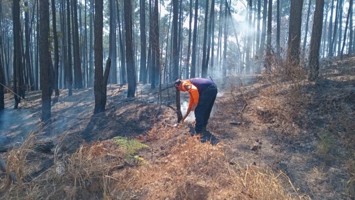 controlan incendios forestales Carabobo