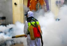 Guatemala declaró la emergencia nacional para combatir el dengue.