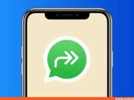 Qué significa la doble flecha y otras actualizaciones que trae WhatsApp