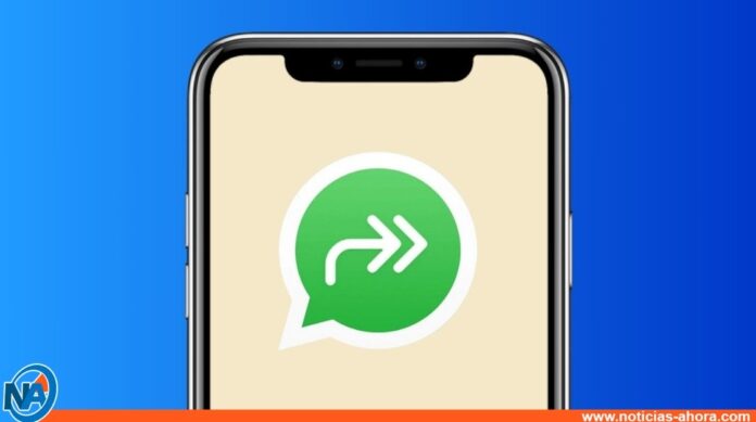 Qué significa la doble flecha y otras actualizaciones que trae WhatsApp