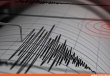 Fuerte sismo de magnitud 6,9 sacudió a Japón este sábado