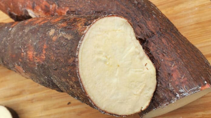 Falleció niña yuca amarga Anzoátegui 