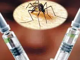 Nueva vacuna contra el dengue