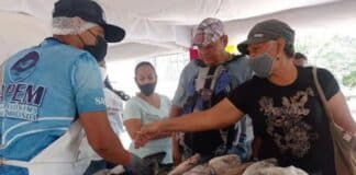 Plan Más Pescado en Casa Miranda