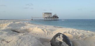 Proyecto oceánico La Guaira Isla de Aves