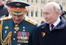 Vladimir Putin destituye Sergei Shoigu
