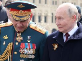 Vladimir Putin destituye Sergei Shoigu