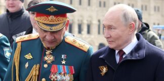 Vladimir Putin destituye Sergei Shoigu