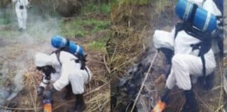 misteriosa fumarola monagas
