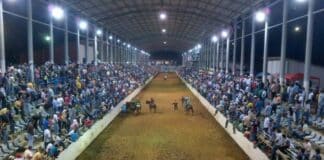 Guárico Mundial de Coleo