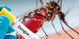 Honduras epidemia dengue