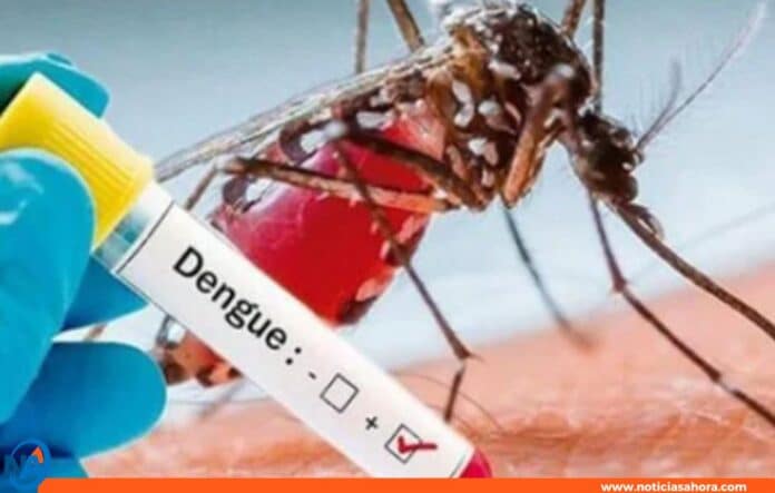 Honduras epidemia dengue