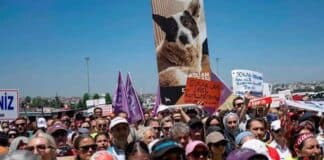 Protestas en Estambul Ley de Sacrificio de Perros Callejeros