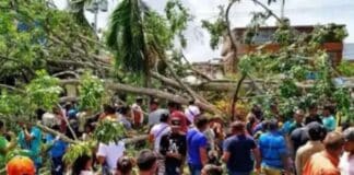 árbol se desplomó tucupita