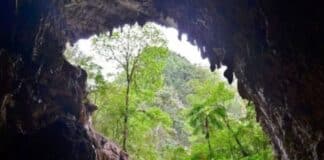 monagas turismo