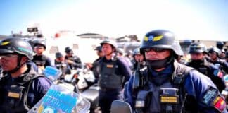 policarabobo Rendimiento Operacional