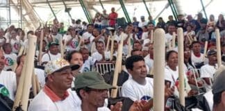 sucre Kits Trabuco Clap