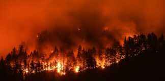Incendio en California