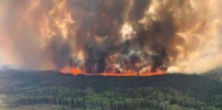 Incendios forestales en Canadá