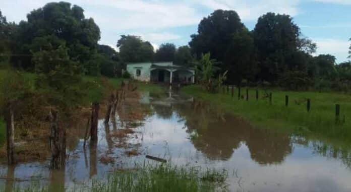 Río Guanare