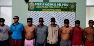caen venezolanos perú