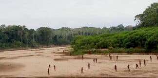 indígenas mashco piro en peligro
